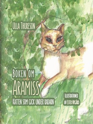 cover image of Boken om Aramiss